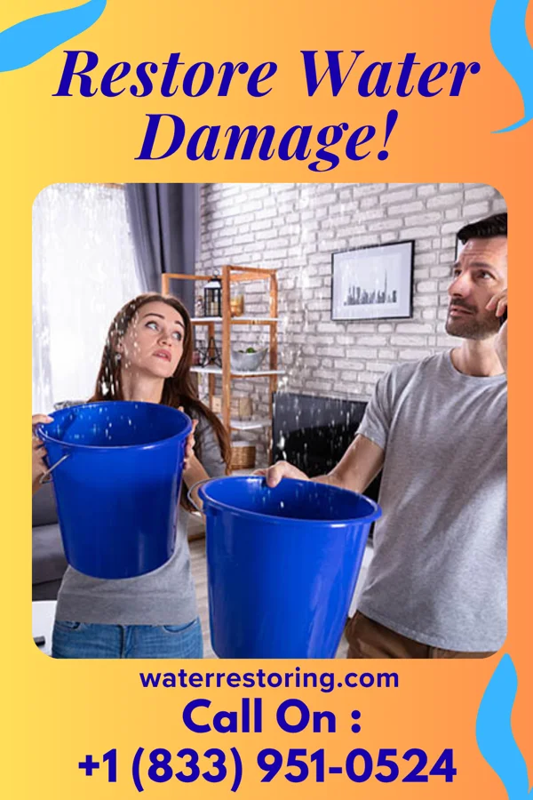 water restoration Beacon Cleanup Force Chelsea