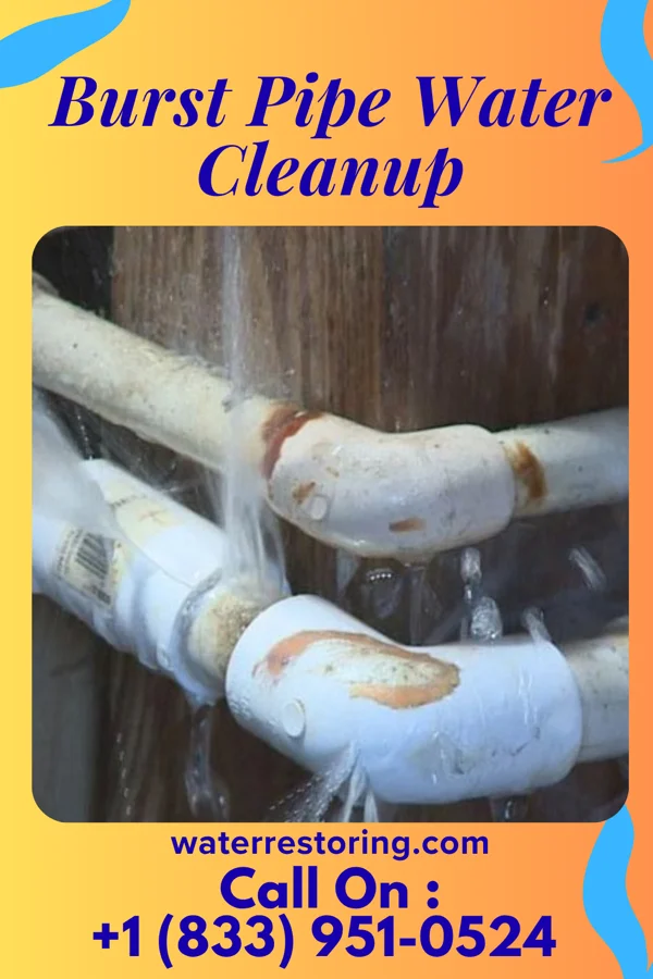 Burst Pipe Water Cleanup in Chelsea, MA