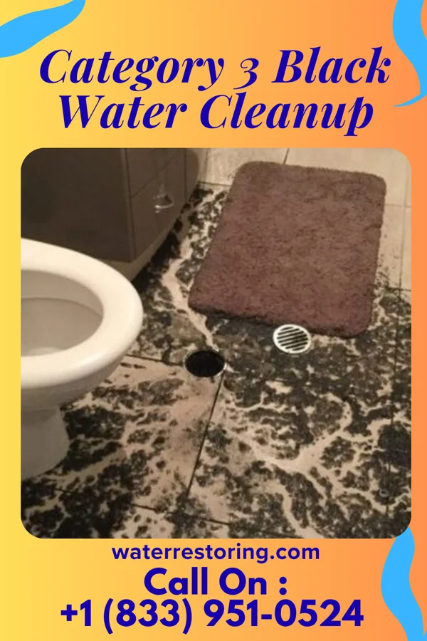 Category 3 Black Water Cleanup in Chelsea, MA