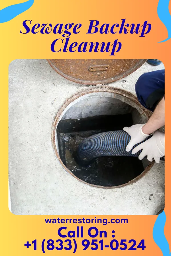Sewage Backup Cleanup in Chelsea, MA