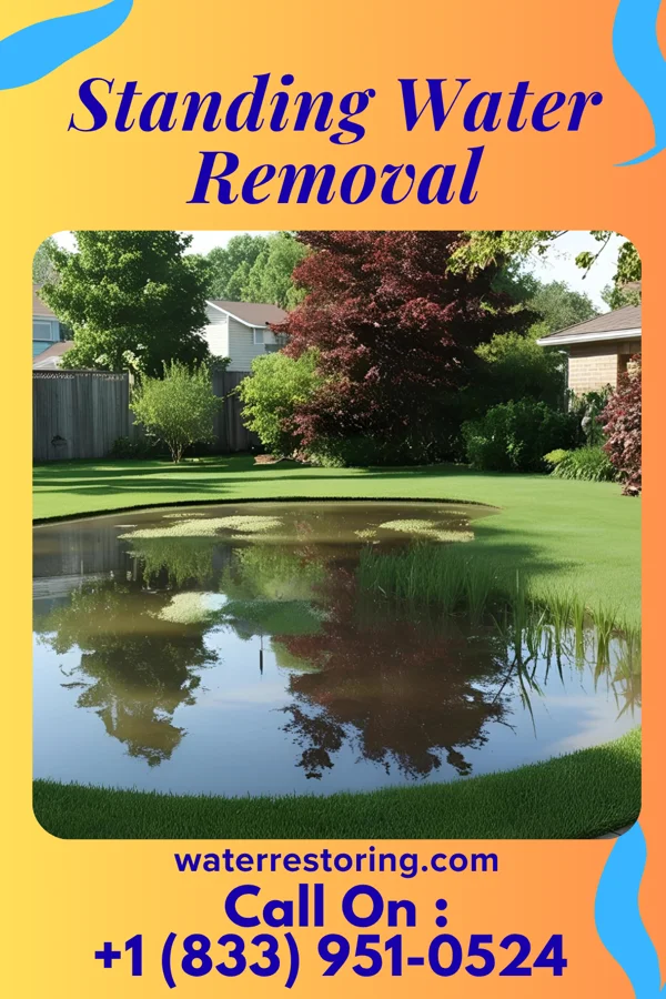 Standing Water Removal in Chelsea, MA